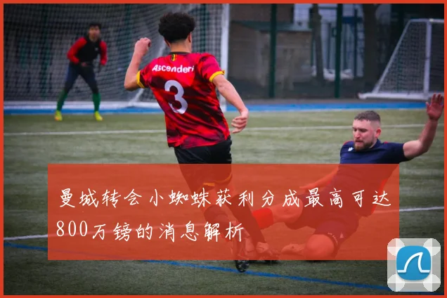 曼城转会小蜘蛛获利分成最高可达800万镑的消息解析